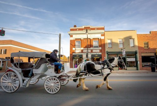 A horse-drawn carriage with a driver passes by historic buildings on a sunny day.