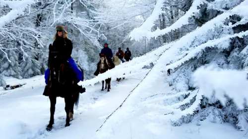 A group of people riding horses through a snowy forest, surrounded by frosted trees and a winter landscape.