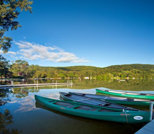 Three green kayaks are moored by a calm lake, surrounded by trees and mountains under a clear blue sky.