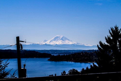 A clear view of a snow-capped mountain over a lake, framed by trees and a power pole in the foreground.