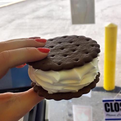 A hand holding a chocolate ice cream sandwich with two cookies and fluffy white filling.