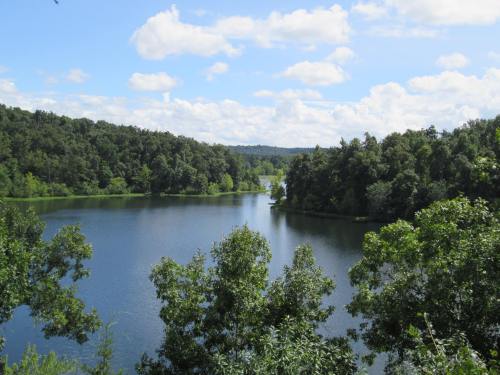 A serene lake surrounded by lush green trees under a bright blue sky with fluffy white clouds.