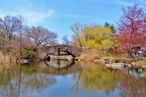 A stone bridge arches over a calm pond, surrounded by trees and colorful spring foliage under a clear blue sky.