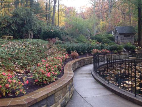 A winding path through a garden with colorful flowers and a pond, surrounded by trees in autumn foliage.