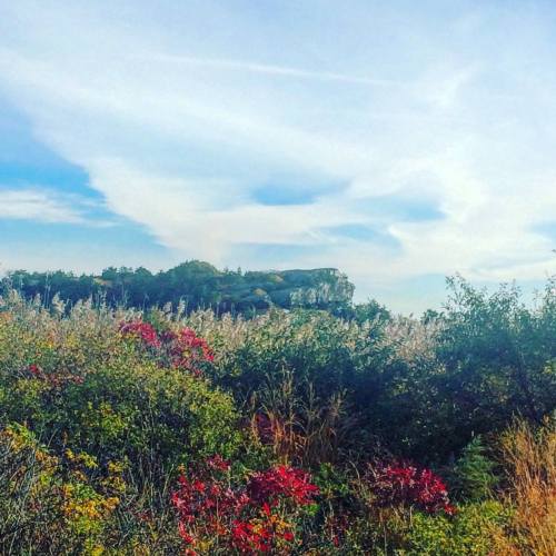 A scenic view of a hilltop with lush greenery and colorful autumn foliage under a blue sky with wispy clouds.