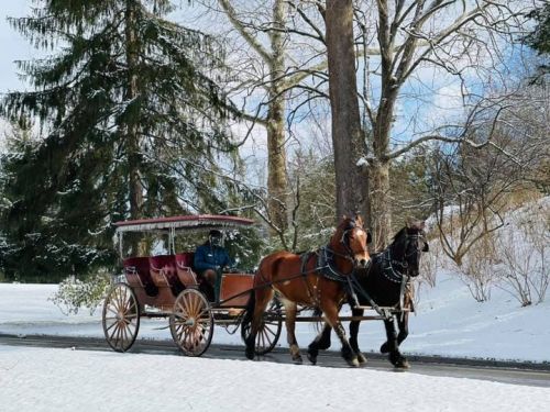 A horse-drawn carriage travels through a snowy landscape, with trees in the background and a driver seated inside.