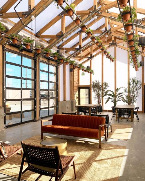 Bright, modern interior with wooden beams, plants, and seating areas, featuring large windows and a cozy atmosphere.