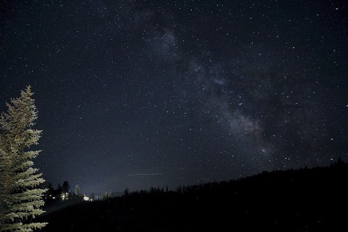 A starry night sky with the Milky Way visible, framed by a silhouette of trees and distant lights on the horizon.