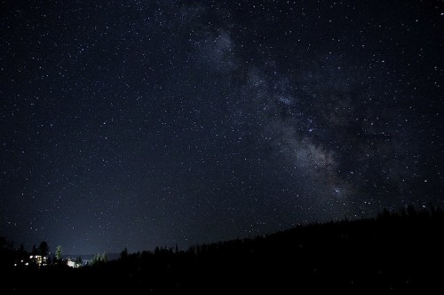 A starry night sky filled with stars and the Milky Way, silhouetted by a dark forest below.