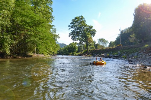 A person floats on a yellow inner tube in a calm river, surrounded by lush green trees and a clear blue sky.