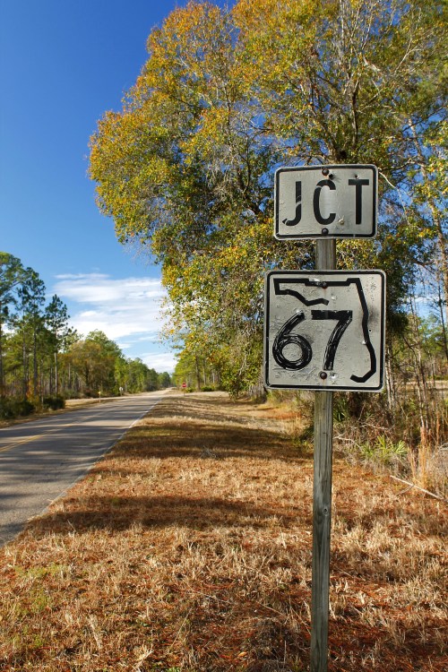 A weathered road sign indicating Junction 67, surrounded by trees and a clear blue sky.