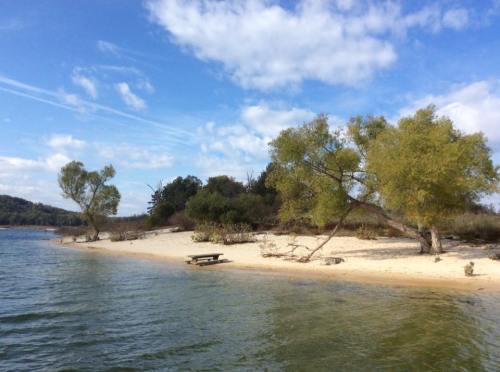 A serene lakeside scene with sandy shore, green trees, and a clear blue sky with scattered clouds.
