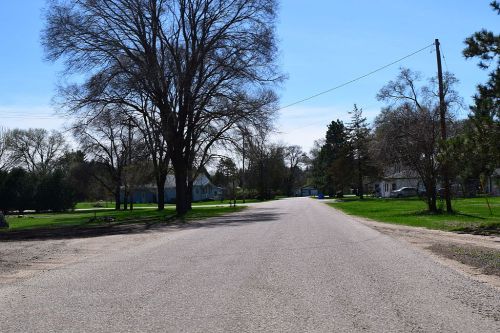 A quiet, tree-lined street with houses and green lawns under a clear blue sky.