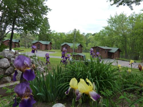 A scenic view of log cabins surrounded by green trees and colorful flowers in a peaceful outdoor setting.