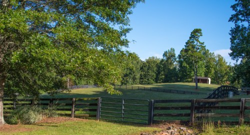 A serene landscape featuring a wooden fence, rolling green hills, and trees under a clear blue sky.