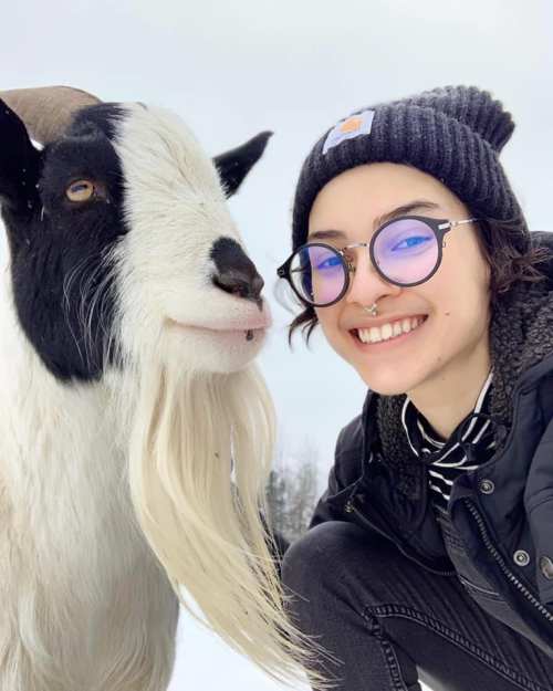 A person with glasses and a beanie smiles next to a friendly goat in a snowy landscape.