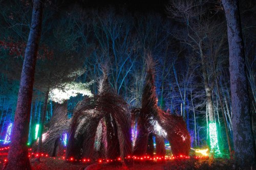 A whimsical structure made of branches, illuminated by colorful lights in a dark forest setting.