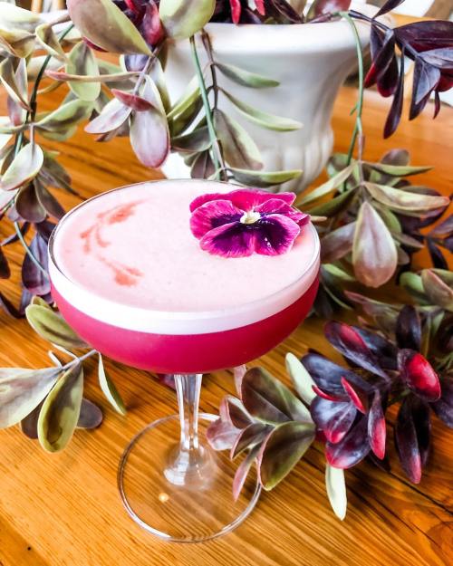 A vibrant cocktail garnished with a purple flower, surrounded by lush green and burgundy foliage on a wooden table.
