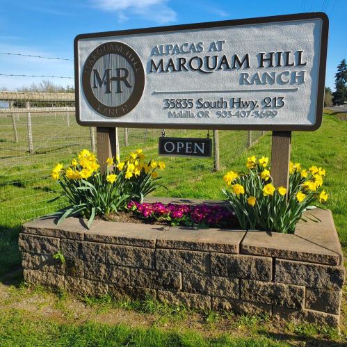Sign for "Alpacas at Marquam Hill Ranch" with flowers, located at 35835 South Hwy 213, Molalla, OR. Open.