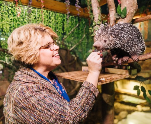 A woman smiles while feeding a porcupine in a lush, indoor setting with greenery in the background.