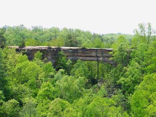 A natural stone arch surrounded by lush green trees and foliage under a bright sky.