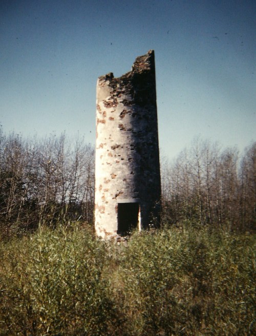 A weathered stone tower stands amidst tall grass and sparse trees under a clear blue sky.
