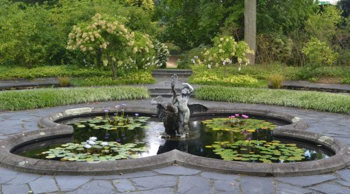 A heart-shaped pond with a fountain and water lilies, surrounded by lush greenery and flowering plants.