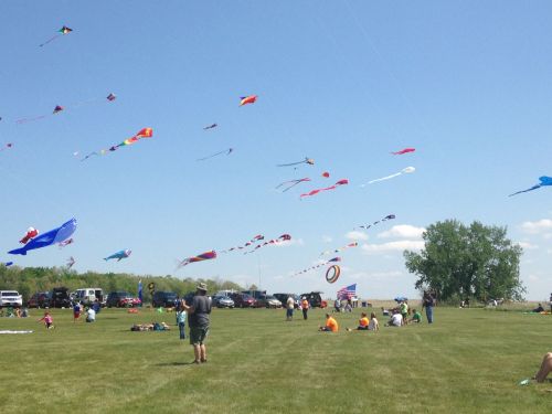 A sunny day at a kite festival with colorful kites flying in the sky over a grassy field and people enjoying the event.