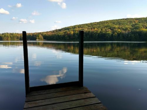 A serene lake view with a wooden dock, surrounded by trees reflecting on the calm water under a clear sky.