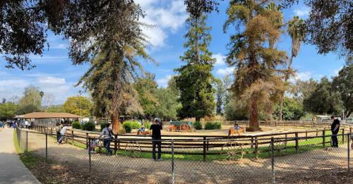 A panoramic view of a park with people enjoying activities near a horse riding area surrounded by trees.