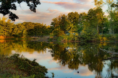 A serene pond surrounded by lush trees, reflecting the colorful sky and greenery at sunset.