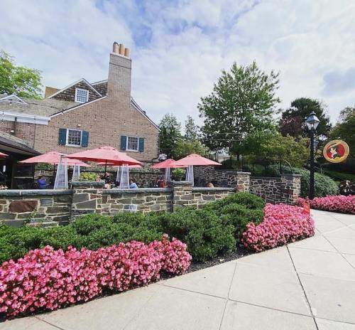 A charming restaurant exterior with pink umbrellas, stone walls, and vibrant pink flowers lining the walkway.