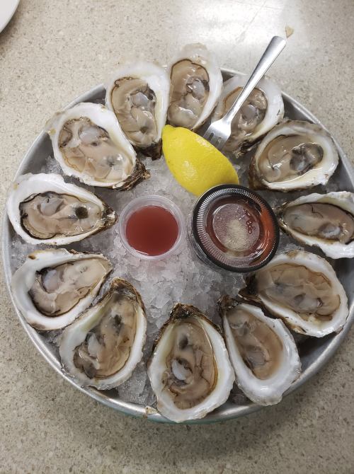 A platter of fresh oysters on ice, garnished with a lemon wedge and dipping sauces.