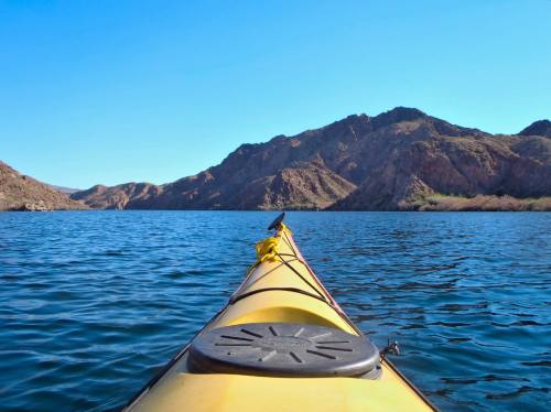 A yellow kayak glides over calm water, with mountains rising in the background under a clear blue sky.