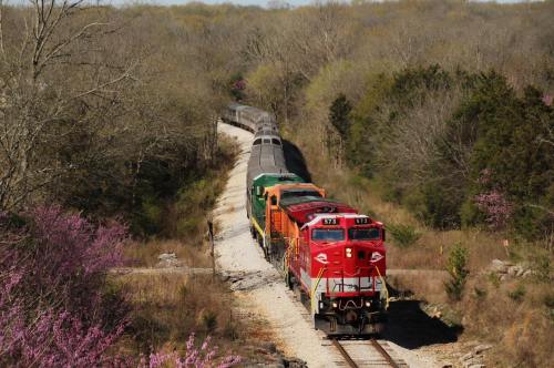 A colorful freight train travels along a winding track through a wooded area with blooming pink flowers.