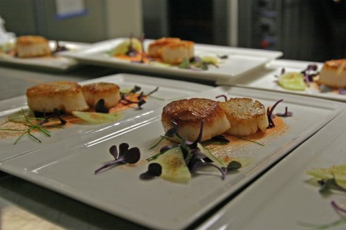 Plated seared scallops garnished with microgreens and a drizzle of sauce, served on white rectangular plates.