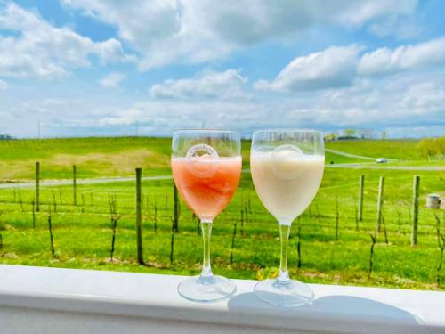 Two glasses of colorful drinks sit on a ledge, with a lush vineyard and cloudy sky in the background.
