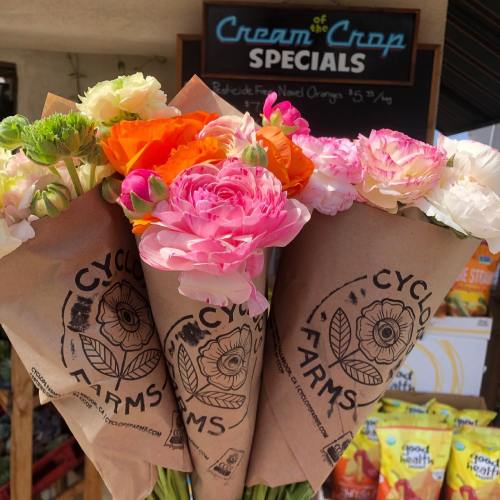 Colorful flowers in paper cones with a sign for "Cream of Crop Specials" in the background.