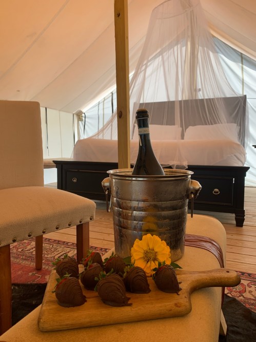 A cozy tent interior with a bottle of champagne, chocolate-covered strawberries, and a flower on a wooden platter.