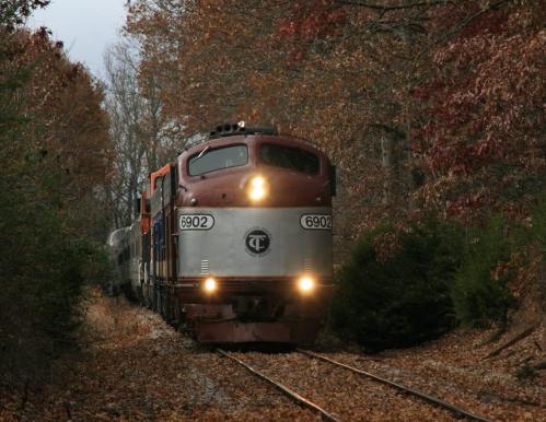 A vintage train travels along a wooded track, surrounded by autumn foliage and fallen leaves.