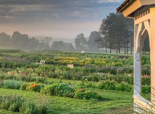A serene garden landscape with colorful flowers, green grass, and a misty sky, framed by trees in the background.