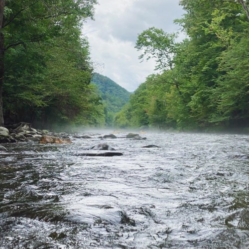 A serene river flows through a lush green forest, with mist rising and mountains in the background under a cloudy sky.