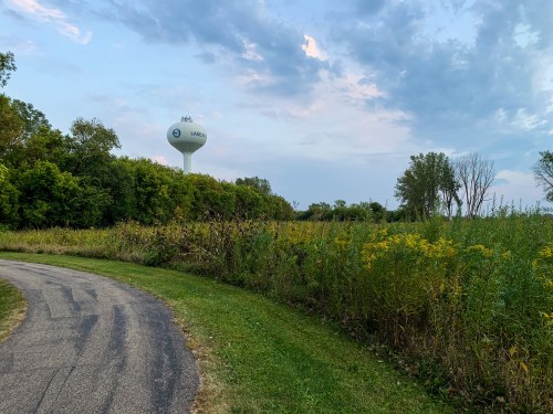 A winding path leads through tall grass and wildflowers, with a water tower visible in the background under a cloudy sky.