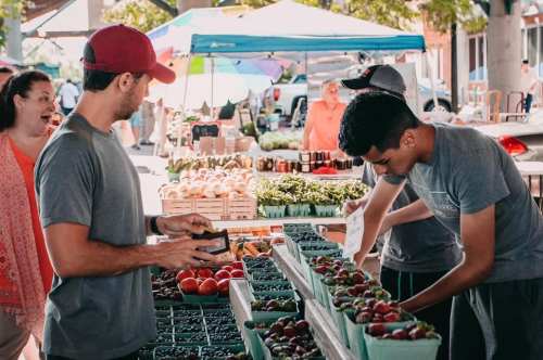 Two young men at a farmers market sorting through fresh produce, with colorful tents and shoppers in the background.