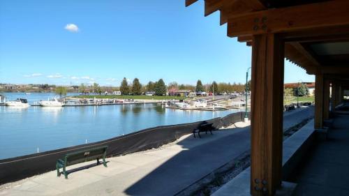 A serene marina view with boats docked, surrounded by trees and a clear blue sky, seen from a wooden structure.