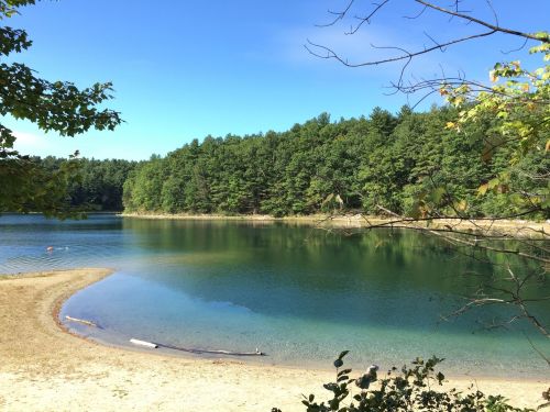 A serene lake surrounded by lush green trees under a clear blue sky, with a sandy shore in the foreground.