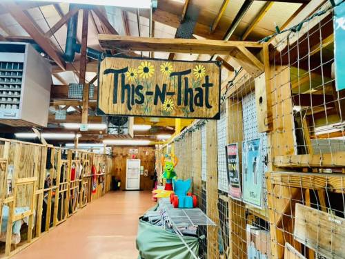 A wooden sign reading "This-N-That" hangs in a rustic indoor space with shelves and colorful items.