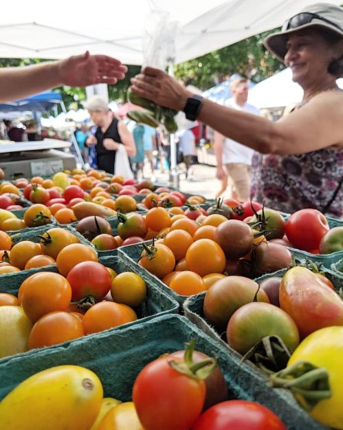 A vibrant farmers market scene with various tomatoes in baskets, as a vendor hands a bag of produce to a customer.