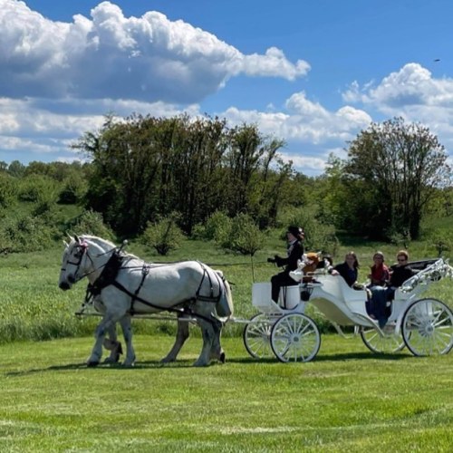 A white horse pulls a carriage with passengers through a green field under a blue sky with fluffy clouds.