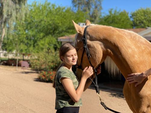A girl in a camo shirt gently embraces a light-colored horse in a sunny outdoor setting.